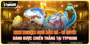 Kinh Nghiệm Chơi Bắn Cá - Bí Quyết Dành Được Chiến Thắng Tại Typhu88